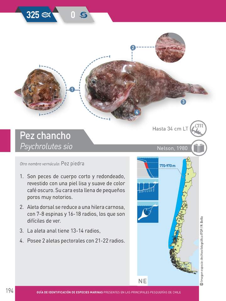 Imagen portada