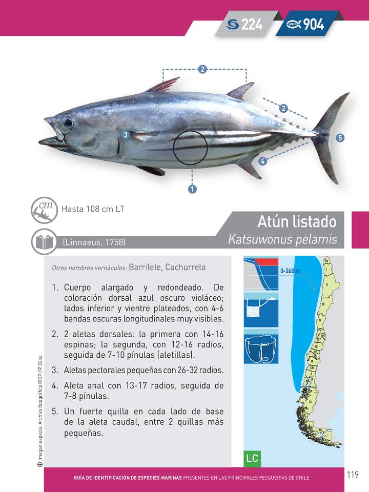 Imagen portada