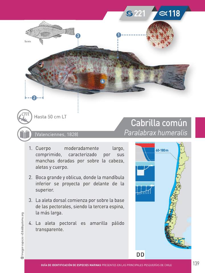 Imagen portada