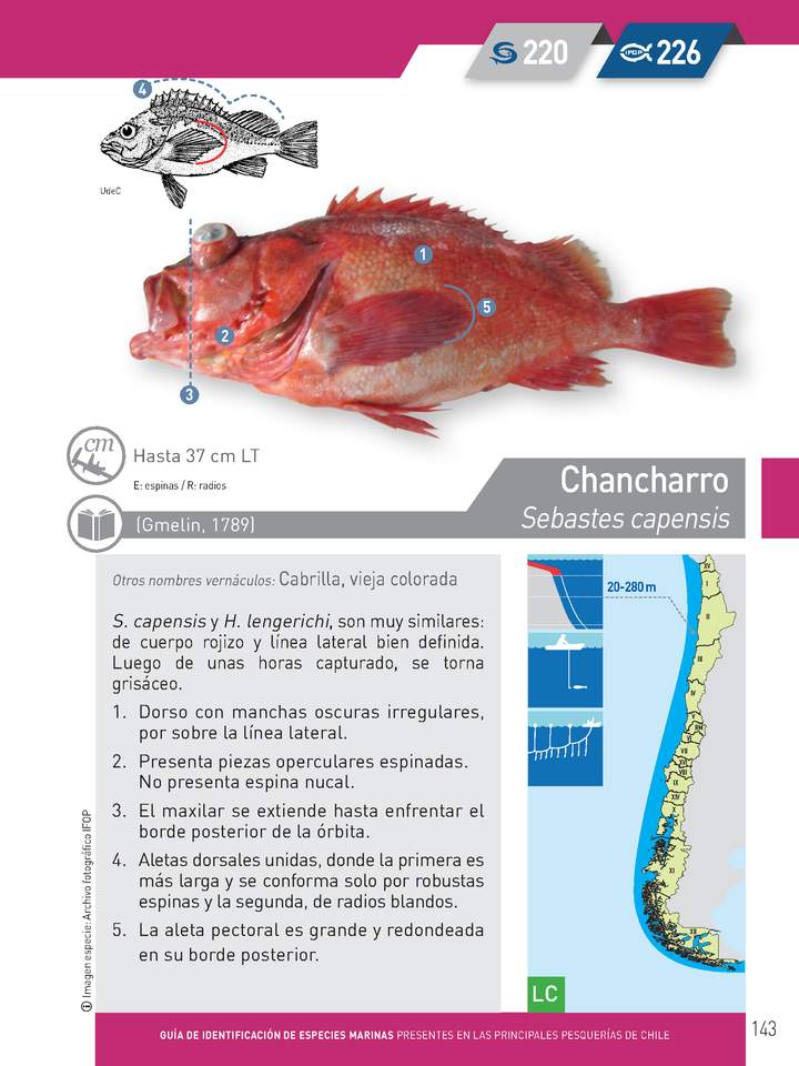 Imagen portada