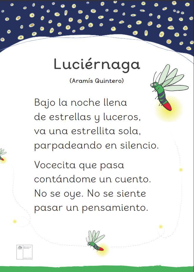 Luciérnaga
