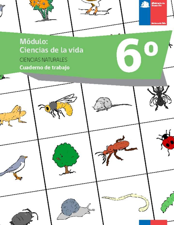 Imagen portada