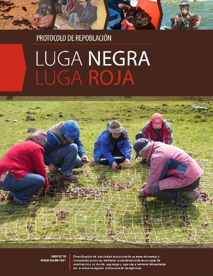 Imagen portada