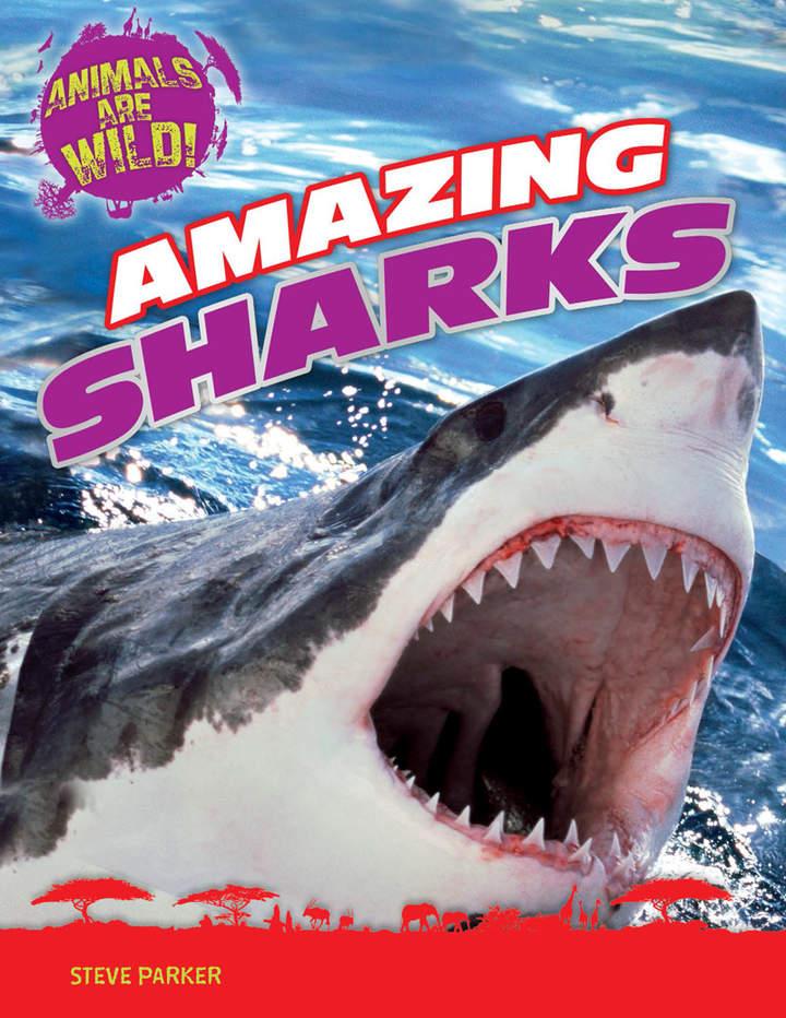 Imagen portada
