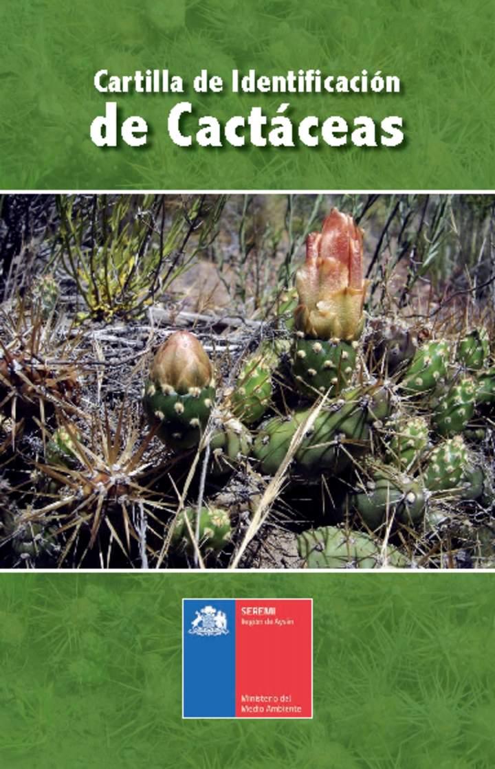 Imagen portada