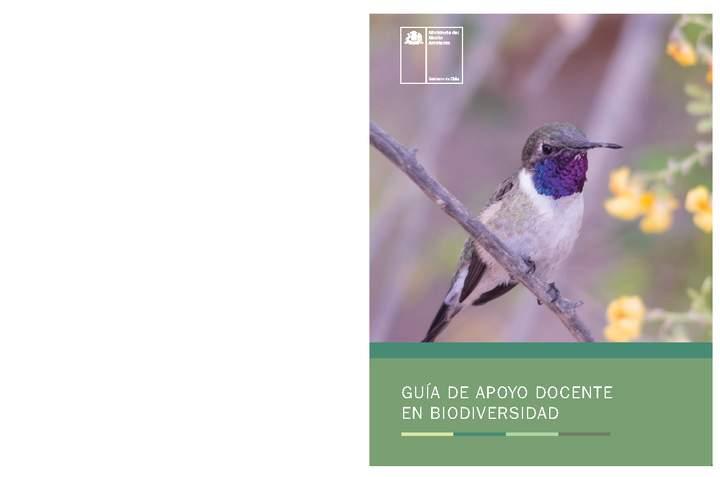 Imagen portada