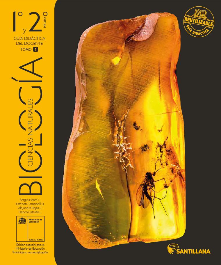 Imagen portada