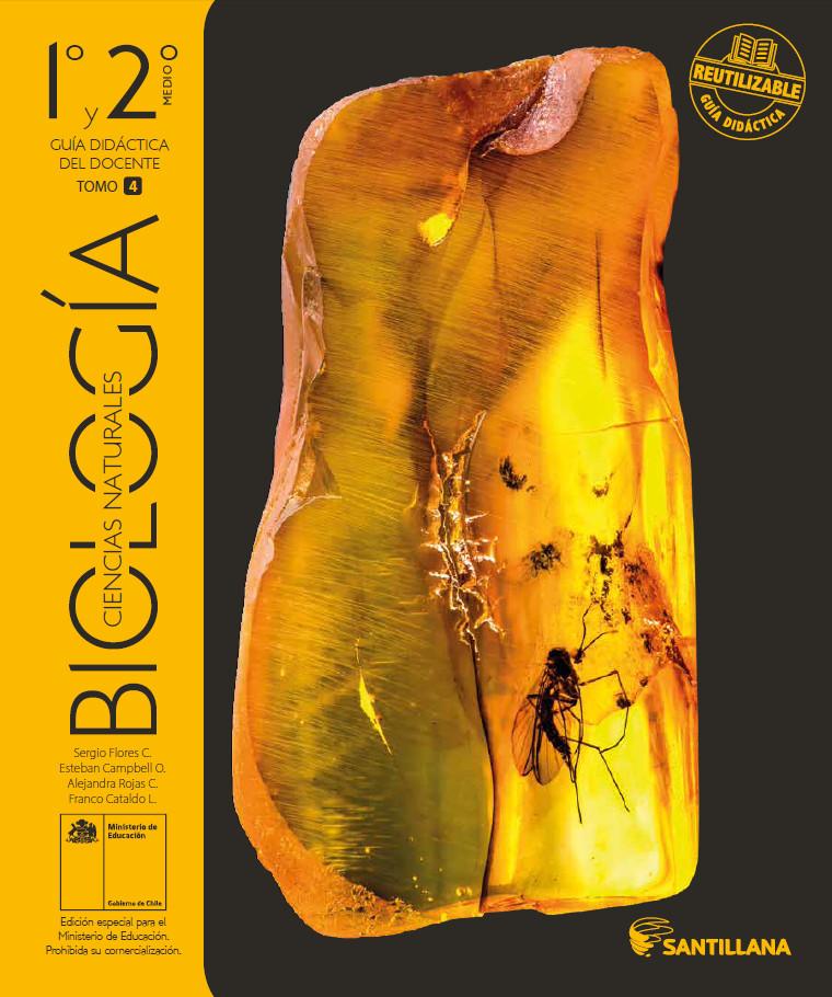 Imagen portada