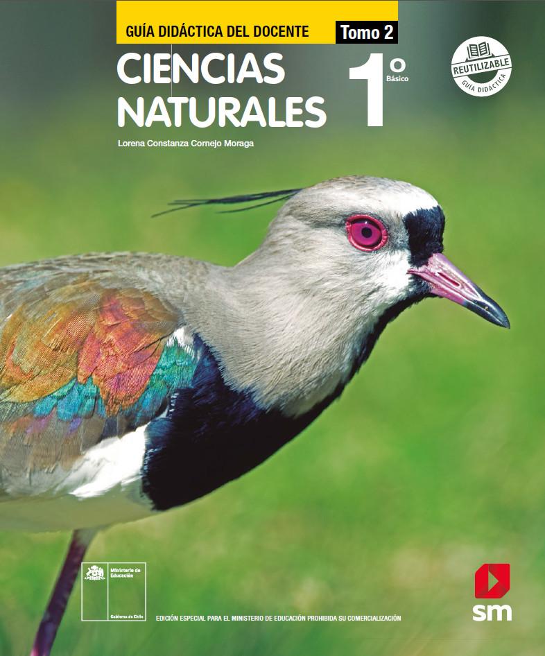 Imagen portada
