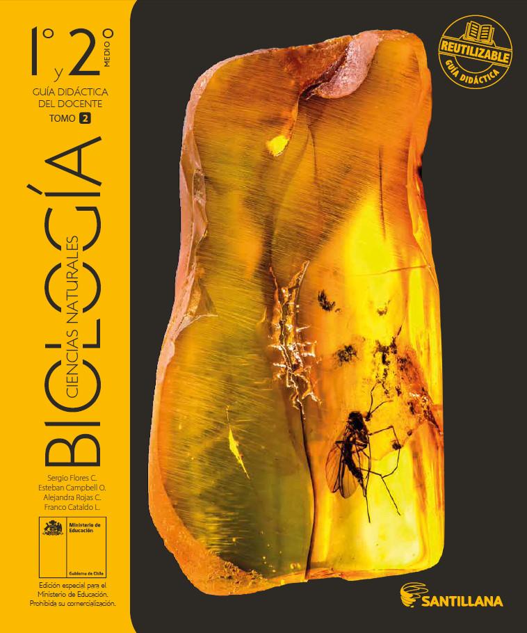 Imagen portada