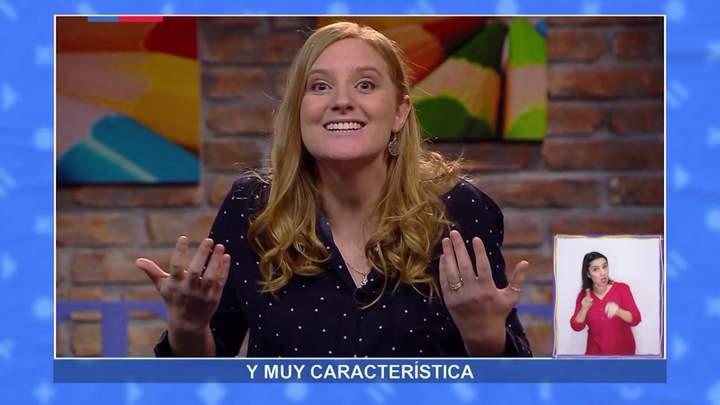 Imagen portada