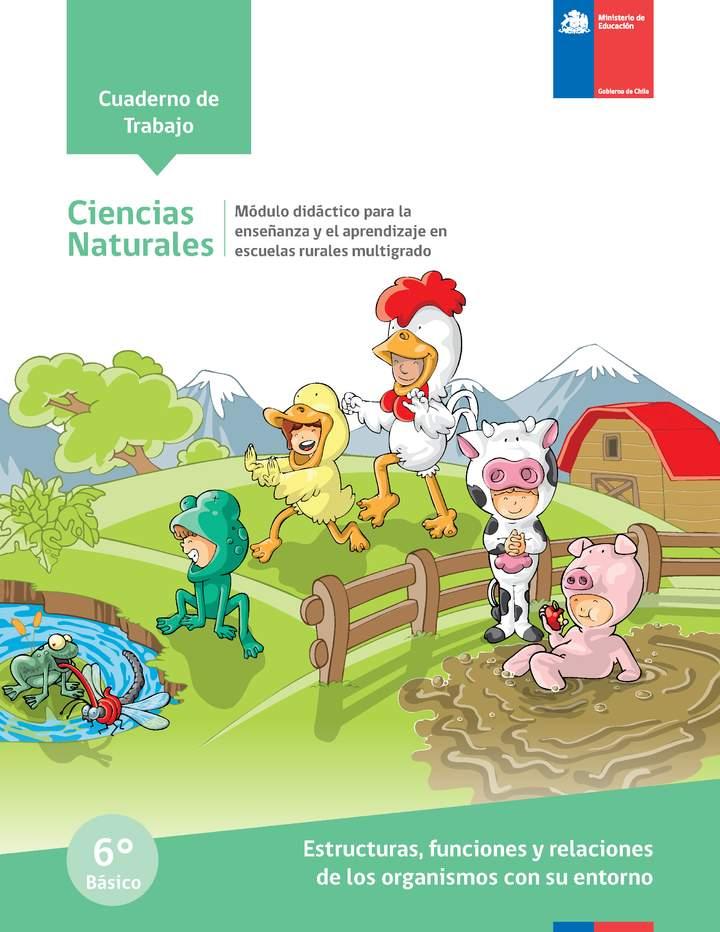 Imagen portada
