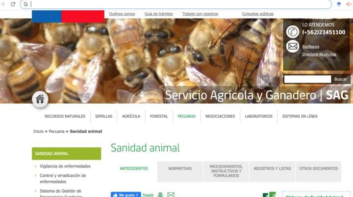 Imagen portada