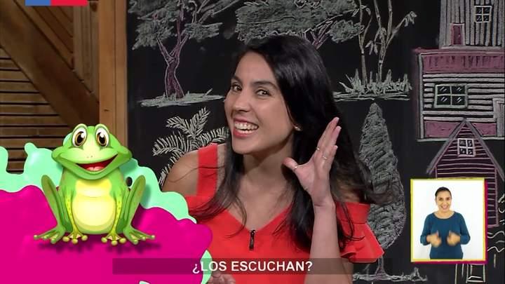 Imagen portada