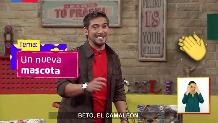 Imagen portada