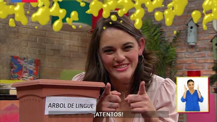 Imagen portada