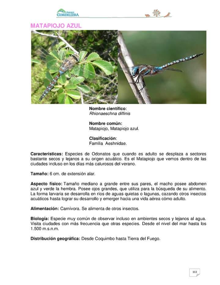 Imagen portada