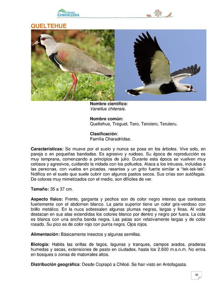 Imagen portada