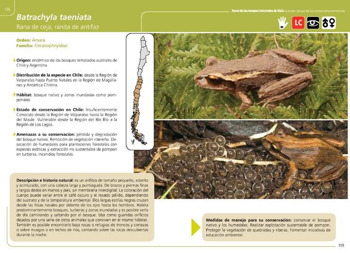 Imagen portada