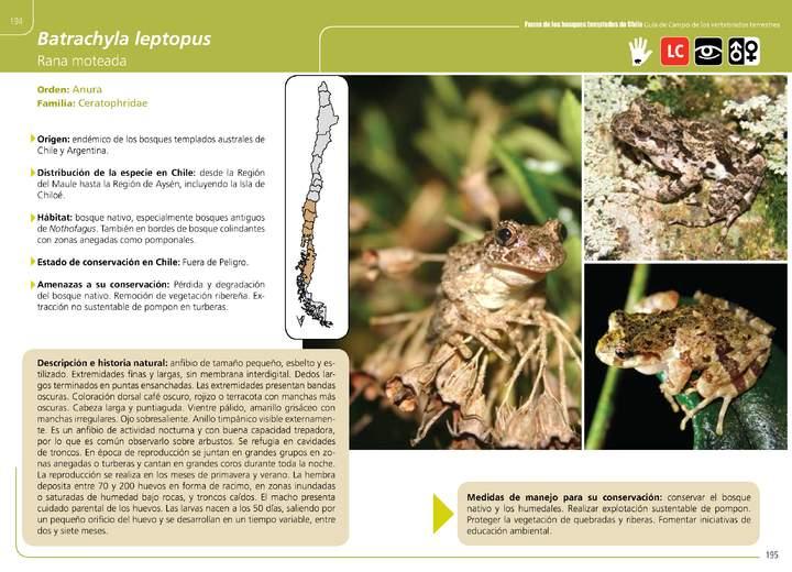 Imagen portada