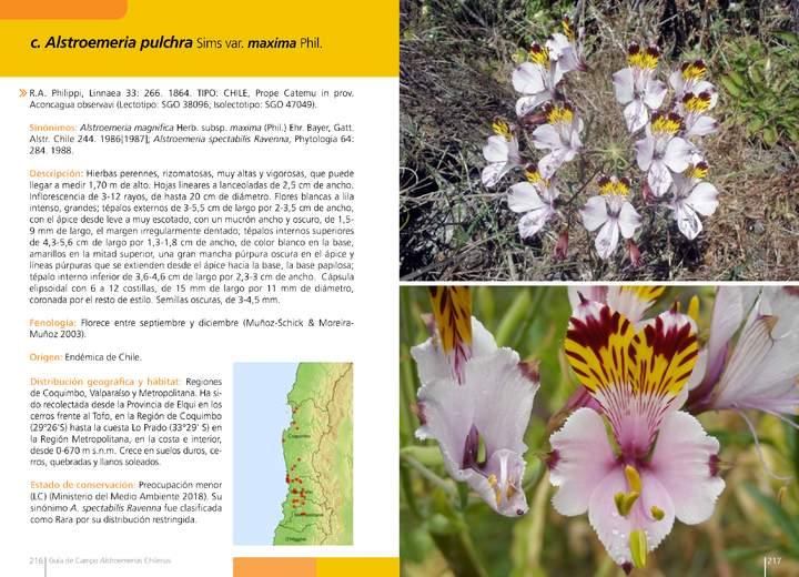 Imagen portada