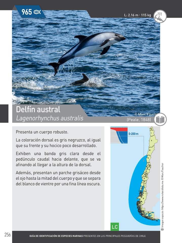 Imagen portada