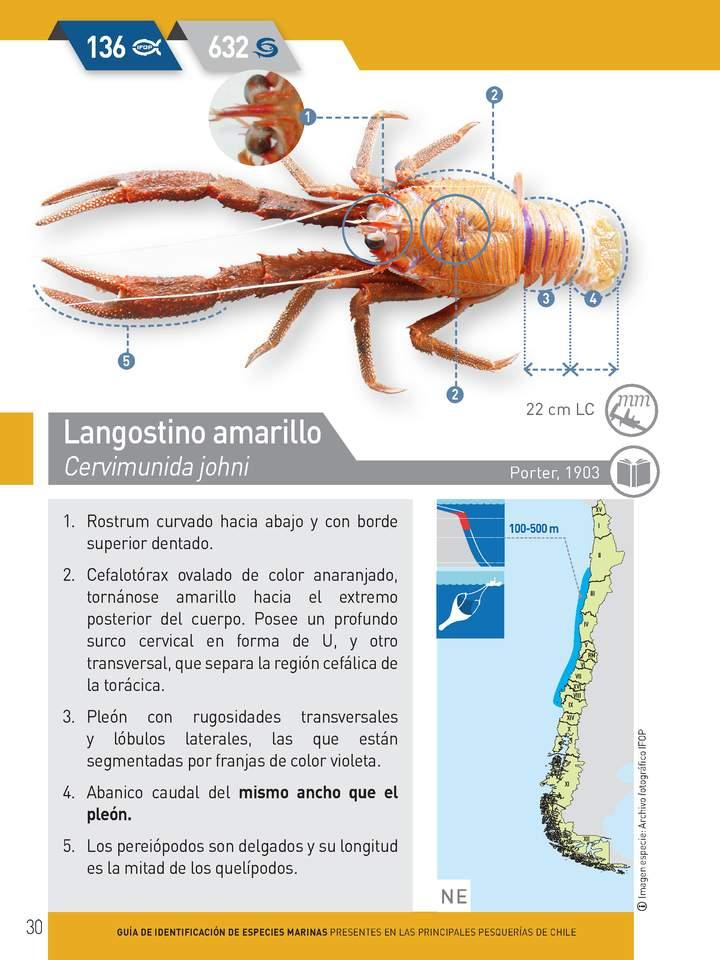 Imagen portada