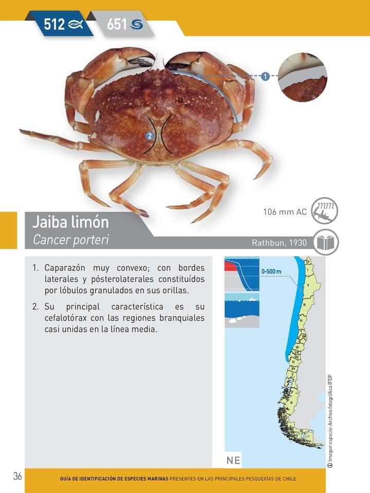 Imagen portada