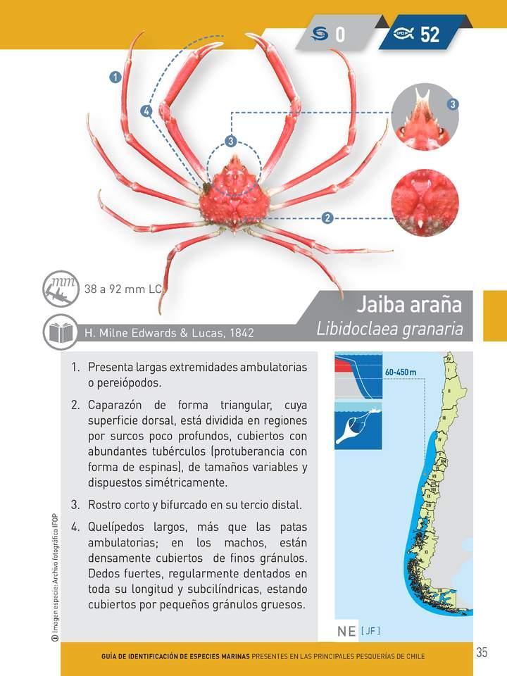 Imagen portada