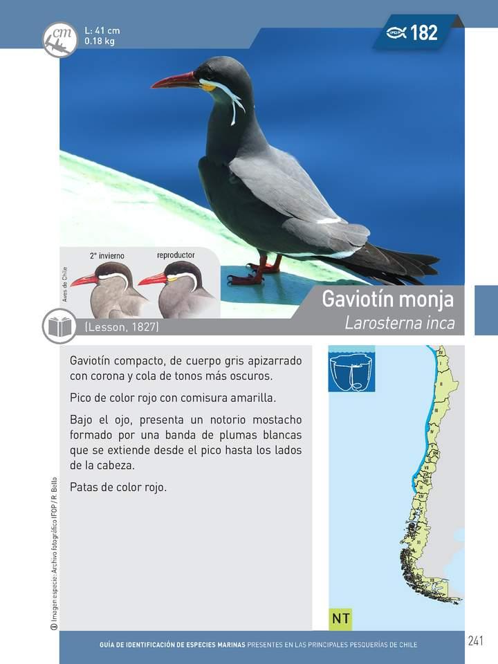 Imagen portada