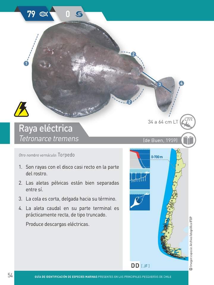 Imagen portada