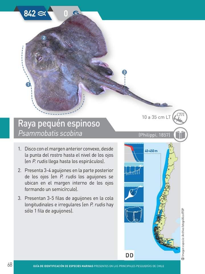 Imagen portada