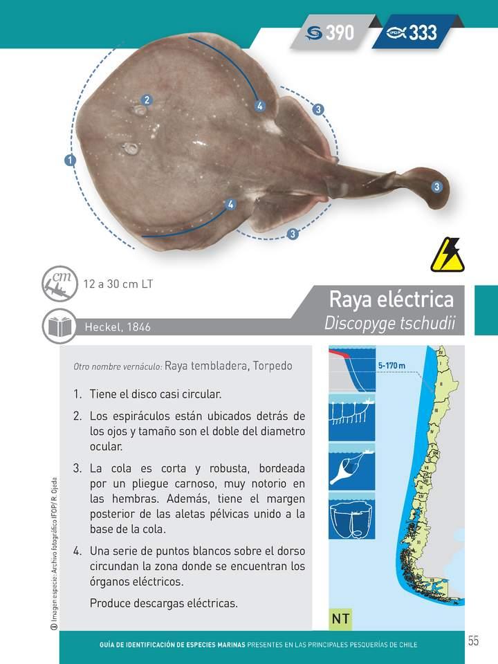 Imagen portada