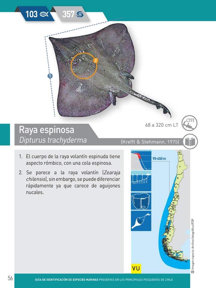 Imagen portada