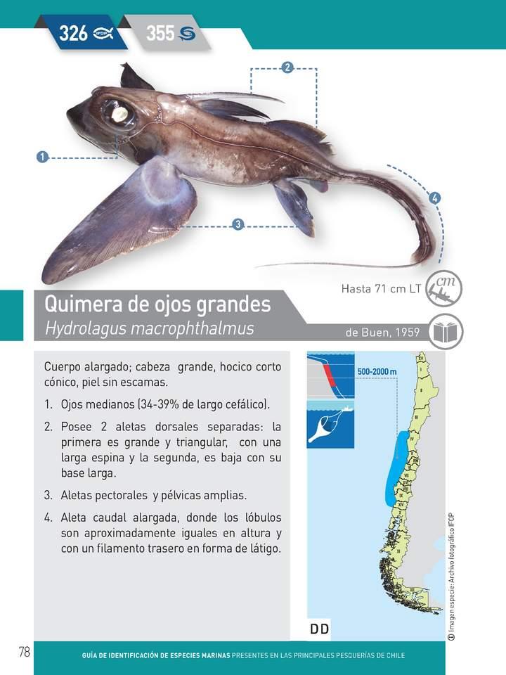 Imagen portada