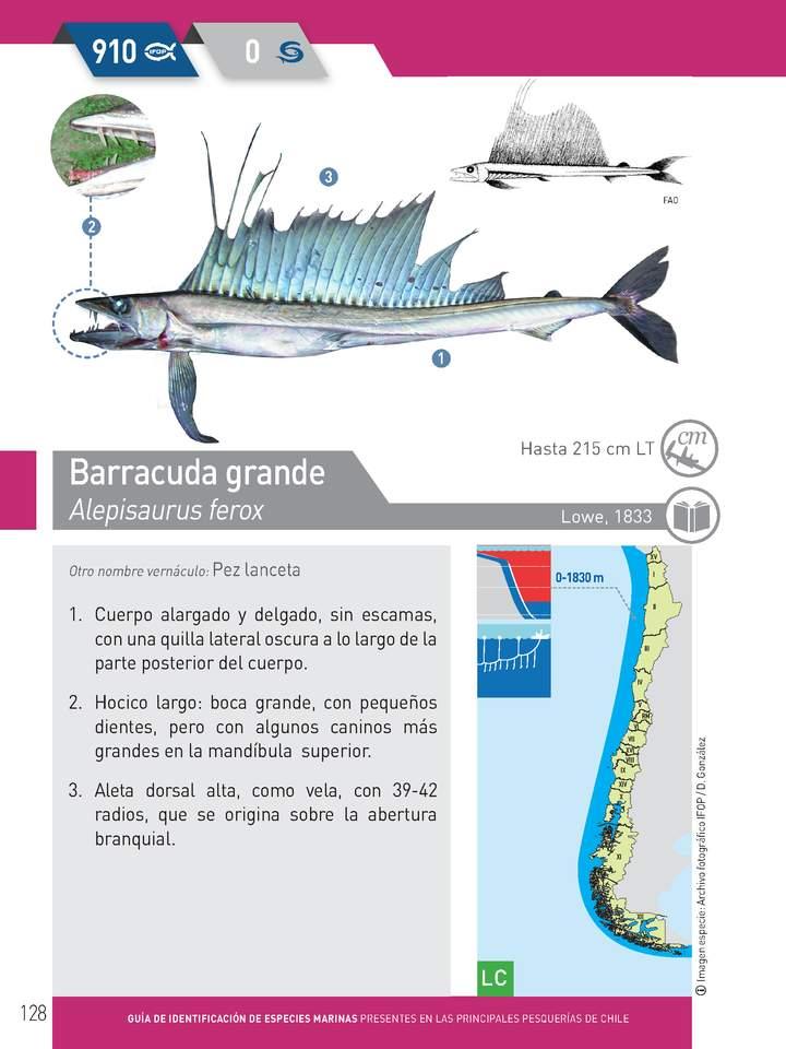 Imagen portada