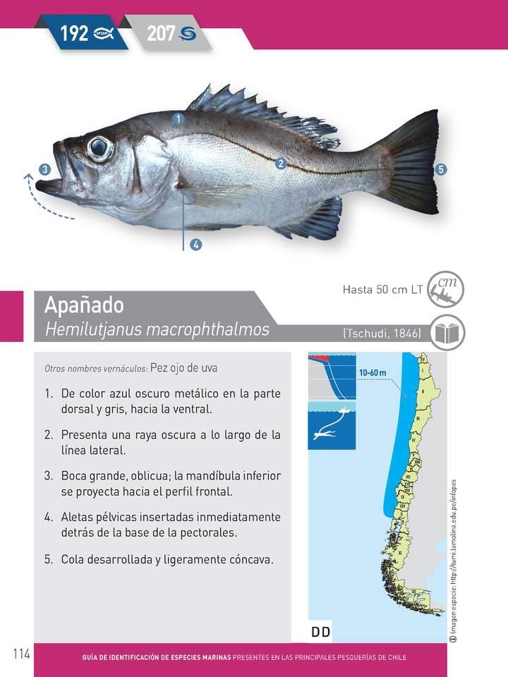 Imagen portada