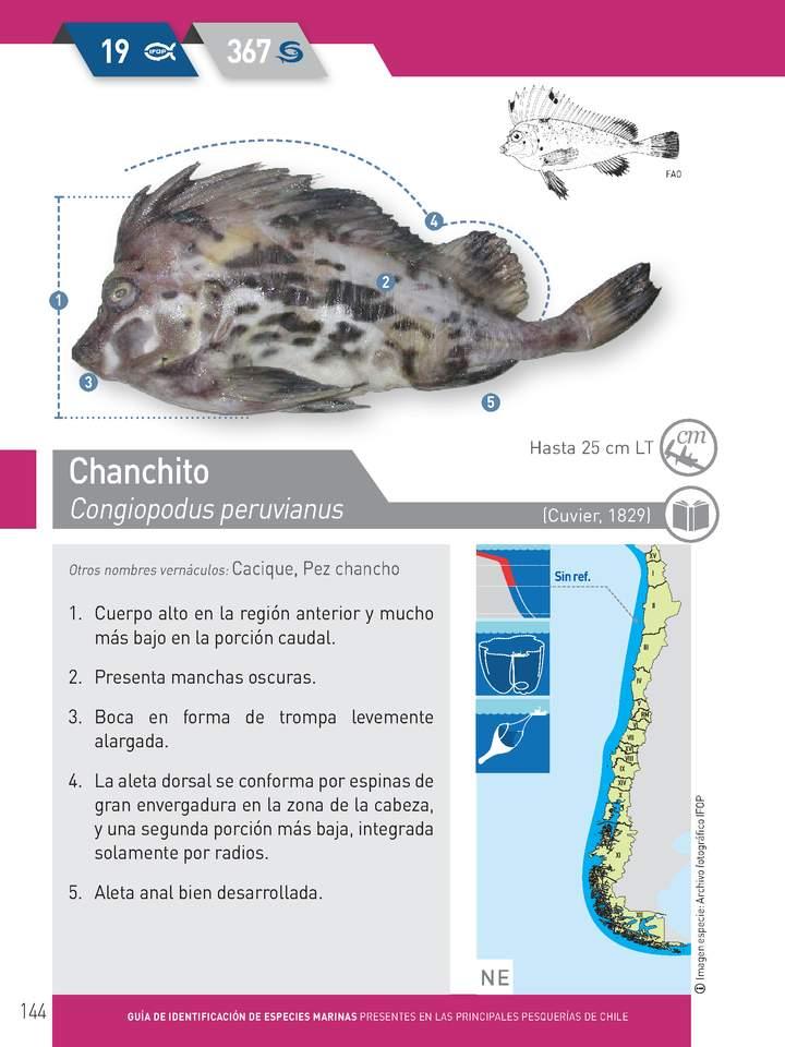 Imagen portada