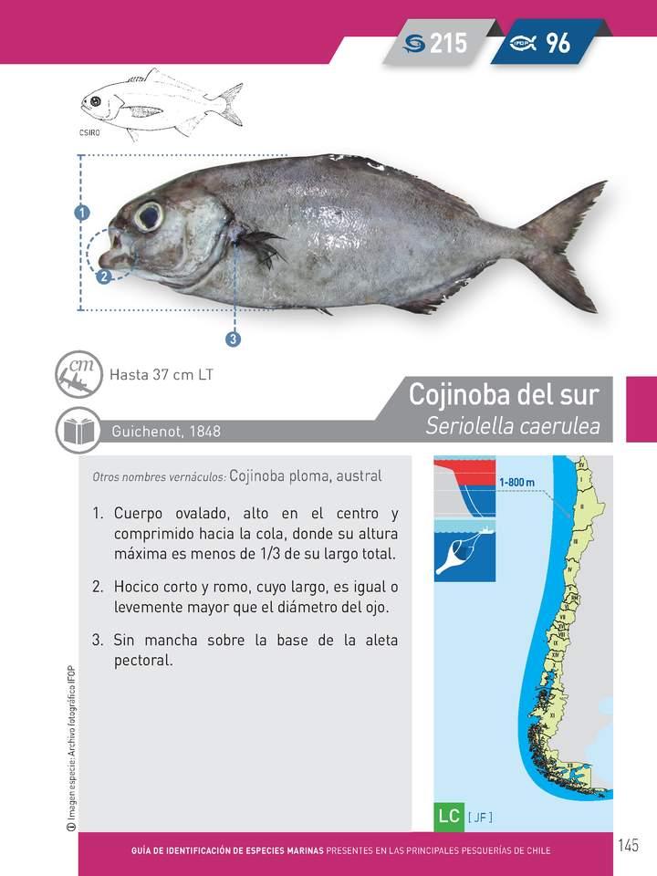 Imagen portada